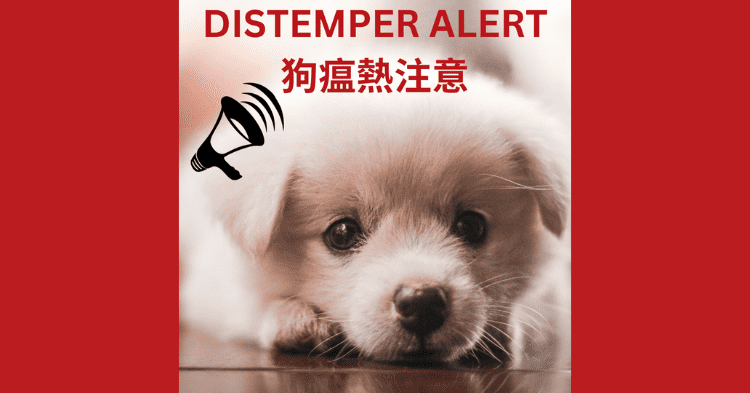 Canine distemper